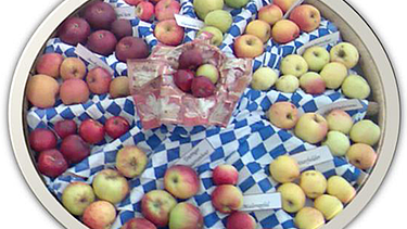 Äpfel
| Bild: Birgit Fürst, BR
