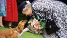 Die britische Königin Elizabeth II. streichelt einen ihrer Corgi-Hunde (Archivfoto vom 20.5.1998). | Bild: picture-alliance/dpa
