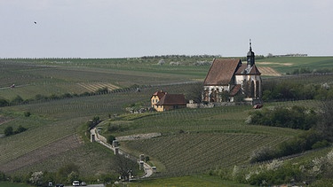 Die Wallfahrtskirche Maria im Weingarten bei Volkach  | Bild: picture-alliance/dpa