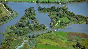Hornissen-Umsiedelung auf der Vogelinsel bei Muhr am Altmühlsee | Bild: Wasserwirtschaftsamt Ansbach/Hajo Dietz, Nürnberg Luftbild