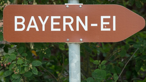 "Bayern-Ei" steht auf einem Schild nahe Aiterhofen. | Bild: pa/dpa/Armin Weigel