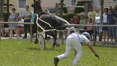 Pferd haut beim Trabrennen in Pocking ab | Bild: Jörg Schlegel