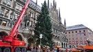 Feuerwehr stellte den Christbaum 2016 auf dem Münchner Marienplatz auf | Bild: BR / Axel Mölkner-Kappl