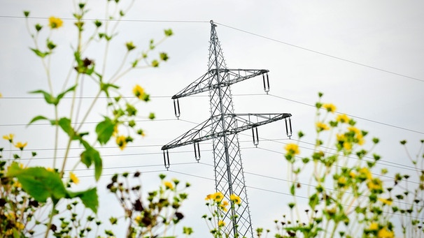 Strommasten hinter Feld | Bild: picture-alliance/dpa