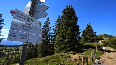 Wegweiser stehen am Fußweg zum Gipfel des Riedberger Horns nahe des Skigebietes Grasgehren bei Obermaiselstein | Bild: picture-alliance/dpa