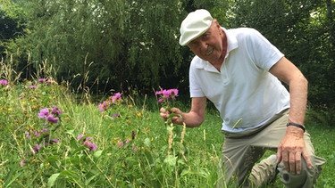 Der Kaufbeurer Umweltpreisträger Christoph Greifenhagen sät eine bunte Blumenwiese mit einheimischen Allgäuer Pflanzen an | Bild: BR/Waldmüller