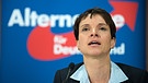 Frauke Petry, Bundesvorsitzende der Partei Alternative für Deutschland (AfD) | Bild: picture-alliance/dpa