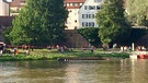 Boot auf der Donau bei Ulm gekentert | Bild: Volker Wüst/SWR