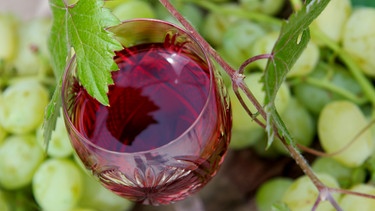 Mal mehr, mal weniger erfolgreich: die Weinjahrgänge | Bild: colourbox.com