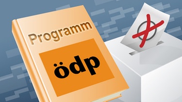 Illustration: Buch mit der Aufschrift "Programm" und dem Logo der ÖDP neben einer Wahlurne | Bild: ÖDP, colourbox.com; Montage: BR