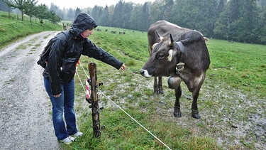 Eine Allgäu-Kuh interessiert sich für eine Besucherin | Bild: picture-alliance/dpa