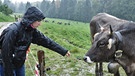 Eine Allgäu-Kuh interessiert sich für eine Besucherin | Bild: picture-alliance/dpa