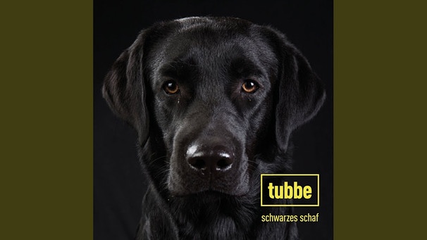 Schwarzes Schaf | Bild: Tubbe - Topic (via YouTube)