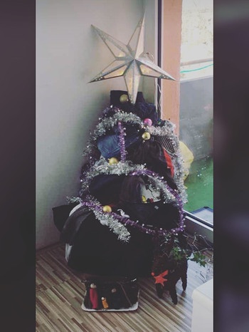 Da es ja eh kein Ende mit der Wäsche nimmt habe ich es kreativ genutzt 😂😂😂😂😂#weihnachtsbaum äh sorry #wäschebaum #steht #natale #christmasdecor #christmastree #christmas #fun #nurspaß #neverendingstory #haushalt #familienleben #momof3 #momofwäsche 😂😂😂 @dianadelic_ was sagst zu meinem? | Bild: mama_chaosqueen_ (via Instagram)