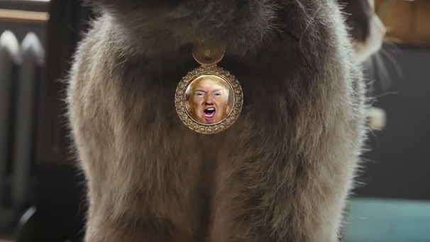 Mit dem "Trump Hole Cover" kann eure Katze gegen Trump protestieren - und dabei wirklich Gutes tun | Bild: Screenshot Vimeo /Trump Hole Cover