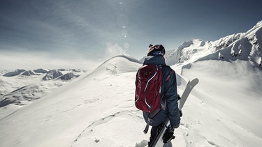 MELT Ski  | Bild: Melt