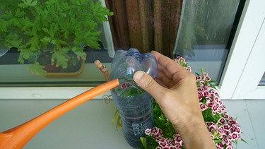 Han gießt Wasser in eine Plastikflasche, die als Bewässerung in einem Blumentopf steckt. | Bild: mauritius images