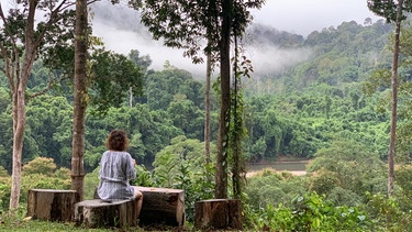 Und dann war ich traurig: Abschied vom Regenwald und Borneo. Aber voller Vorfreude auf daheim. Vier Wochen sind echt lang.  | Bild: Ulla Müller