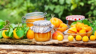 Frische Aprikosen und selbstgemacht Aprikosenmarmelade | Bild: mauritius images / fotoknips
