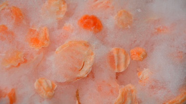 Gefrierbrand bei tiefgekühlten Karotten | Bild: mauritius images/ D, Merrimon Crawford / Alamy