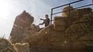 Bäuerin bei der Strohernte | Bild: picture-alliance/dpa