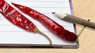 Chilis und Bleistift auf Notizbuch | Bild: colourbox.com; Montage: BR