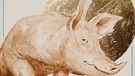 In einer Serie, in der Werner Härtl Nutztiere auf Heiligenbildchen darstellt (hier das Schwein, die heilige Crescenz) will er aufzeigen, wie sehr die Kultur des Menschen auch heute noch eng an Nutztiere geknüpft ist. | Bild: Werner Härtl/ weeeh78.de/kuhmistkunst