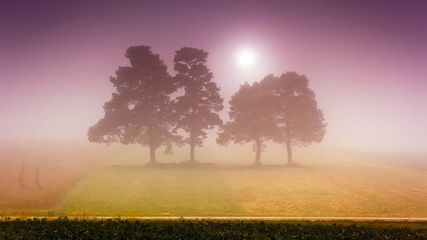 Nebel in Bayern | Bild: dpa/picture alliance