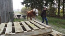 Manuel bekommt Hilfe für sein Pferd Aaron | Bild: BR