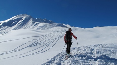 Skitouren im Ridnauntal  | Bild: BR; Bernhard Ziegler