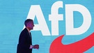Björn Höcke, Vorsitzender der AfD in Thüringen | Bild: dpa-Bildfunk/Bodo Schackow