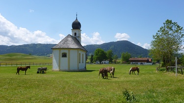 Kapelle geweiht St. Leonhard, dem Schutzpatron des Viehs | Bild: BR / Andrea Zinnecker