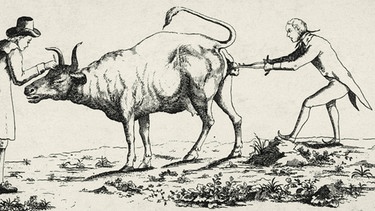 Karikatur: Spottbild auf das Entnehmen der Lymphe aus der Kuh, 18. Jh. | Bild: picture alliance/akg-images