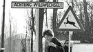 Auf der Leopoldstraße haben Narren in der Faschingszeit "Wildwechsel"-Schilder platziert (1963) | Bild: picture-alliance/dpa