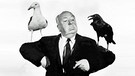 Alfred Hitchcock posiert während der Dreharbeiten zu "Die Vögel" mit einer Möwe und einem Raben (1963) | Bild: picture-alliance/dpa