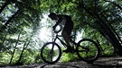 Downhill-Mountainbiker | Bild: picture-alliance/dpa
