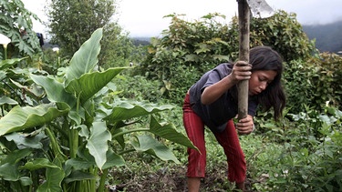 Ein Mädchen bearbeitet mit einer Hacke ein Feld auf dem verschiedene Planzen wachsen | Bild: picture-alliance/dpa