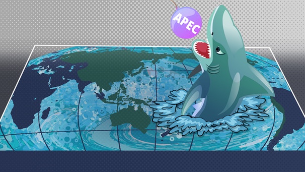 Illustration zum Thema APEC | Bild: colourbox.com/ BR