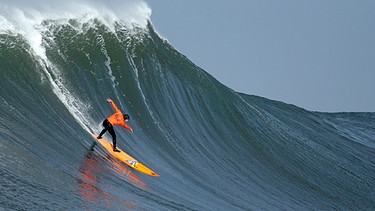 Surfen und Umwelt in Kalifornien | Bild: picture-alliance/dpa