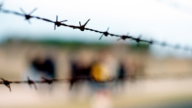 Stacheldraht am ehemaligen KZ Sachsenhausen | Bild: picture-alliance/dpa