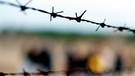 Stacheldraht am ehemaligen KZ Sachsenhausen | Bild: picture-alliance/dpa