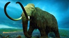 Paläontologie Säugetiere Mammut mammoth stehend in Tundra Modell palaeontology mammoth on tundra Royal British Columbia Museum British Columbia Kanada | Bild: picture-alliance / OKAPIA KG, Germany | Fred Bruemmer/OKAPIA