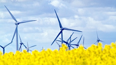 Windräder vor einem Rapsfeld | Bild: picture-alliance/dpa