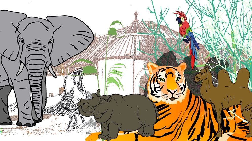 Illustration Kalenderblatt: Wiedereröffnung von Tierpark Hellabrunn | Bild: BR, Angela Smets