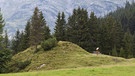 Landschaft bei Lech am Arlberg | Bild: picture-alliance/dpa