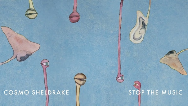 Cosmo Sheldrake - Stop The Music | Bild: Cosmo Sheldrake (via YouTube)