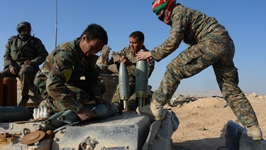 Syrische Armee vor Palmyra | Bild: picture-alliance/dpa