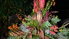 Allerheiligengesteck von Robert Teuser, Meisterschüler an der Staatlichen Fachschule für Blumenkunst Weihenstephan | Bild: Charlotte Serve/BR