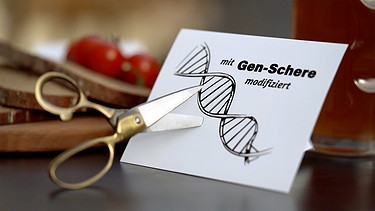 Bildmontage Schere vor einem Schild, auf dem ein DNA-Strang zu sehen ist und auf dem steht "mit Gen-Schere modifiziert". | Bild: BR