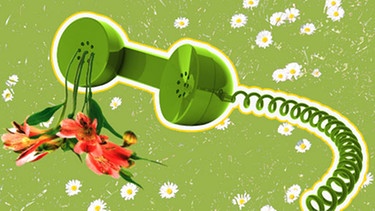 Telefonhörer aus dem Blumen wachsen | Bild: colourbox.com, Stockbyte, Montage: BR